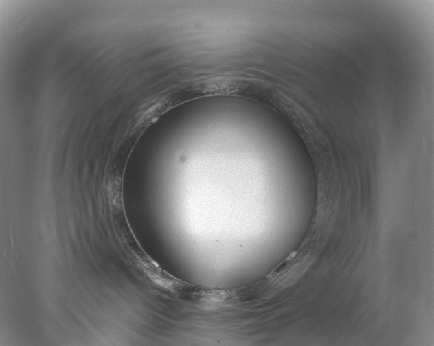 X0000078020096200611101858