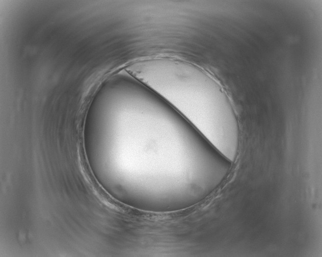 X0000078020097200611101857