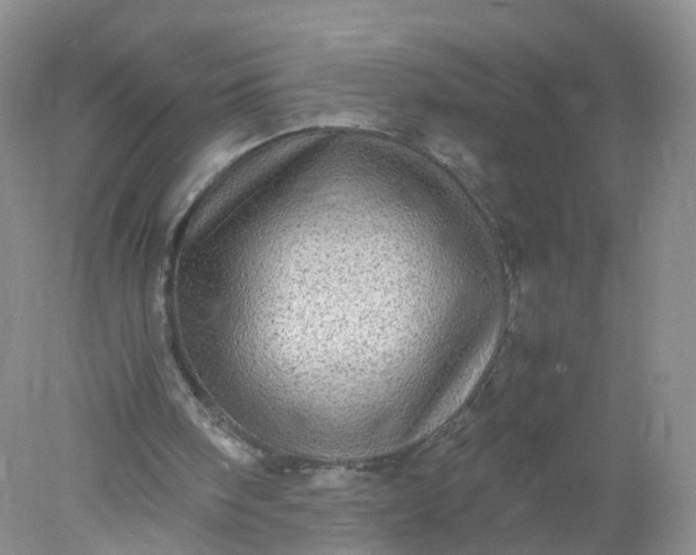 X0000078020098200611101857