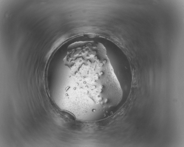 X0000078020099200611101857