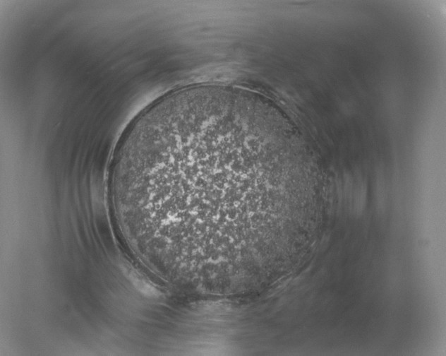 X0000078020100200611101857