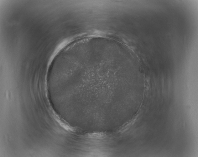 X0000078020102200611101857