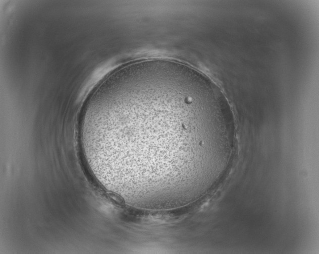 X0000078020103200611101857