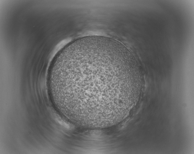 X0000078020104200611101857