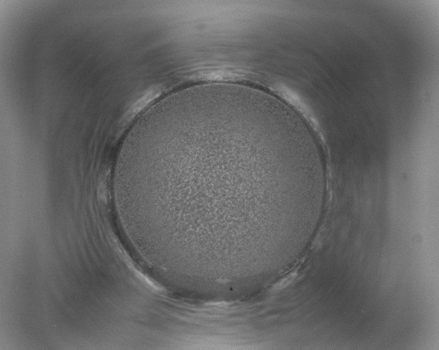 X0000078020105200611101857