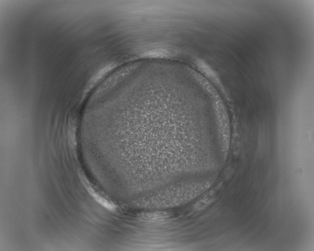 X0000078020106200611101857