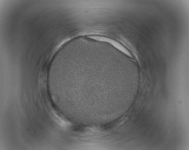 X0000078020107200611101857