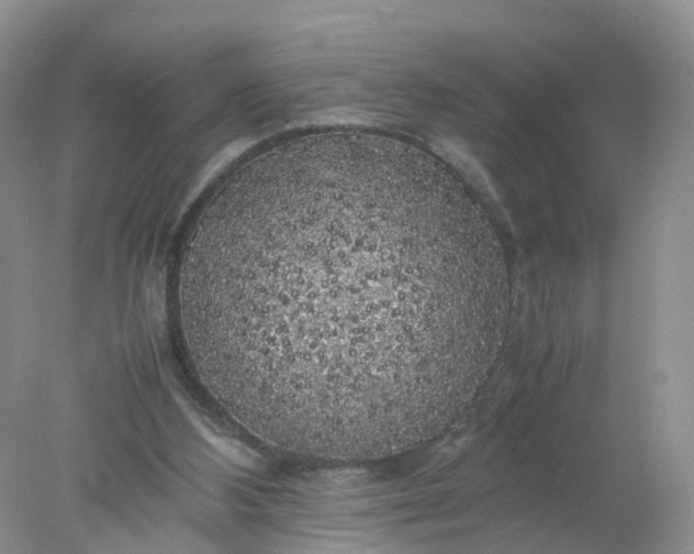 X0000078020108200611101857