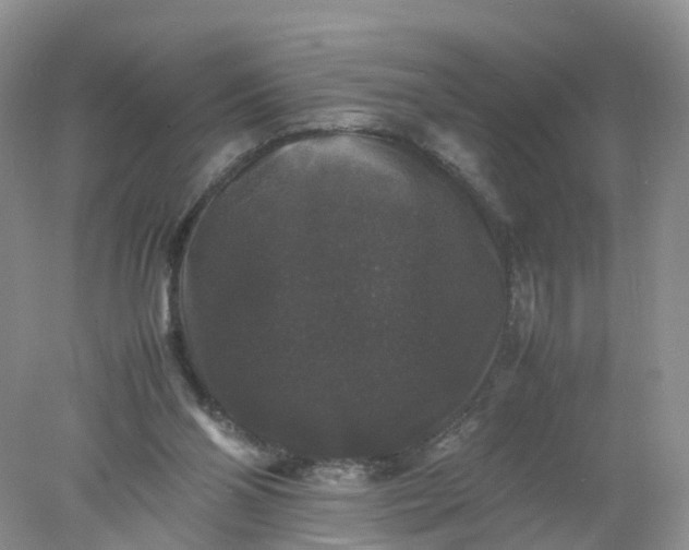 X0000078020110200611101857