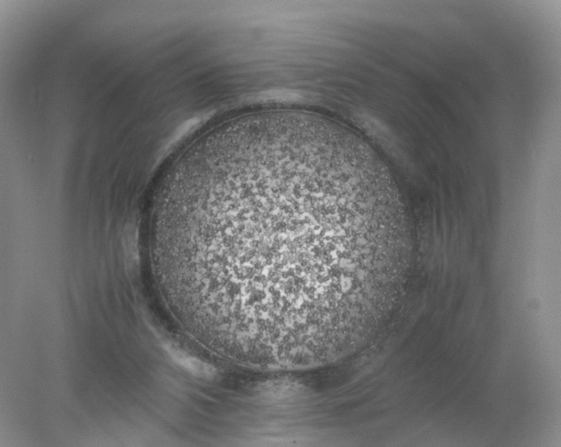 X0000078020112200611101857