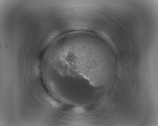 X0000078020114200611101857