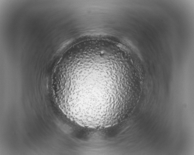 X0000078020115200611101857