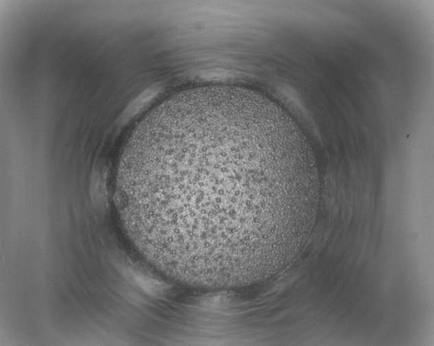 X0000078020116200611101857