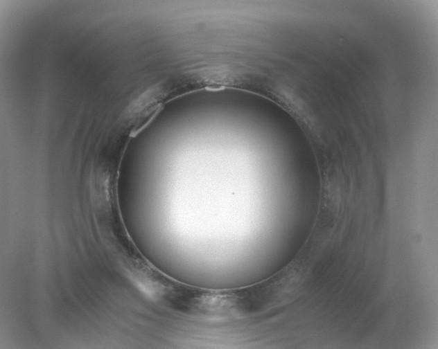 X0000078020117200611101857