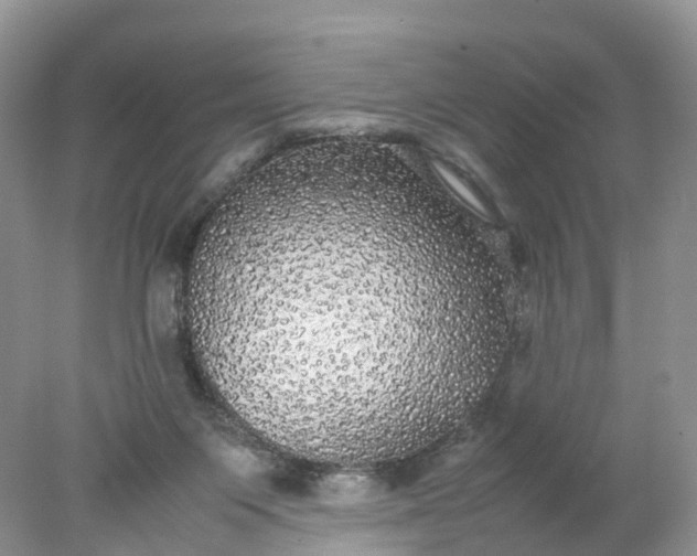 X0000078020119200611101857