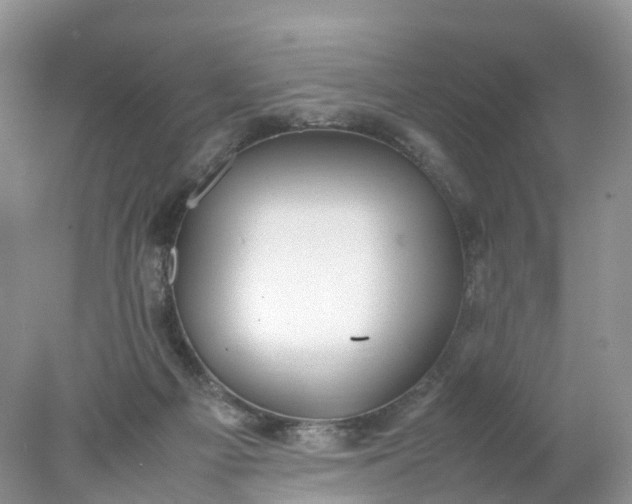 X0000078020121200611101857