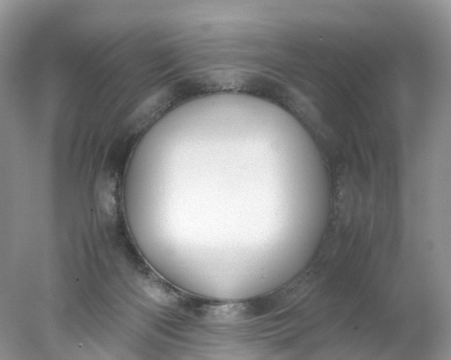 X0000078020122200611101857