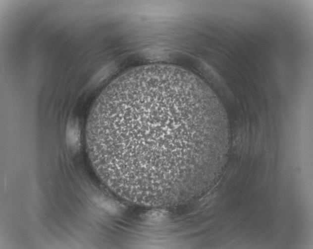 X0000078020124200611101857