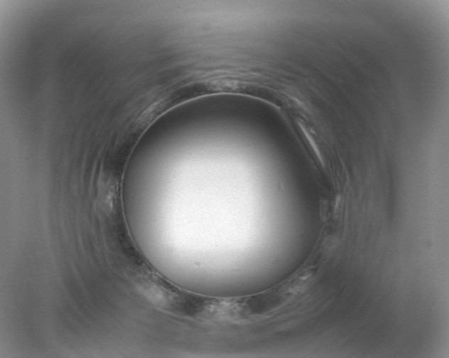 X0000078020125200611101857