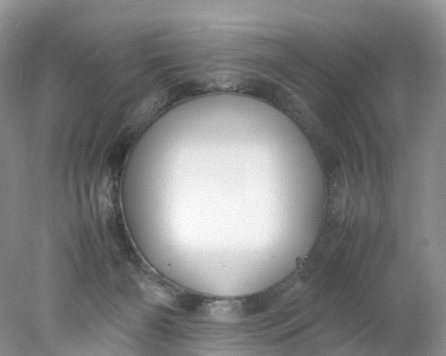 X0000078020126200611101857