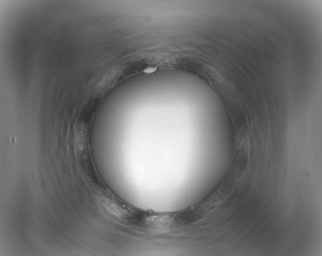 X0000078020133200611101856