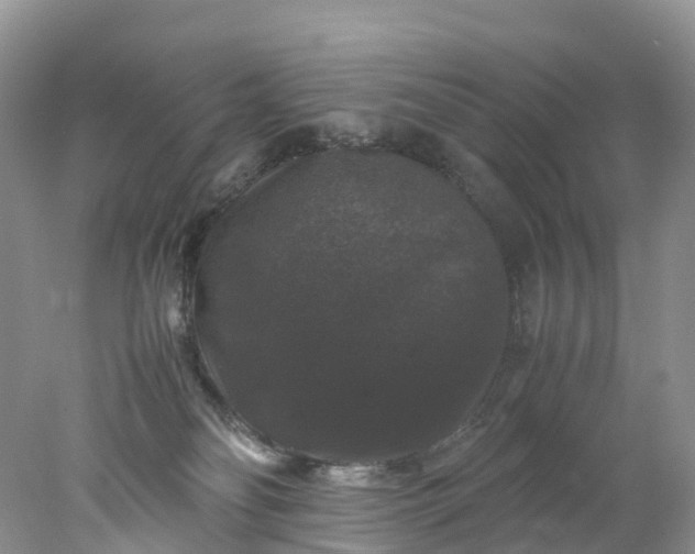 X0000078020134200611101856