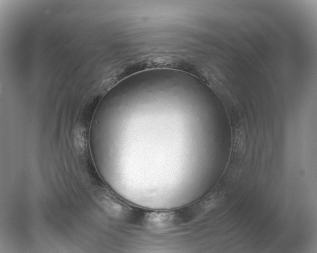 X0000078020135200611101856