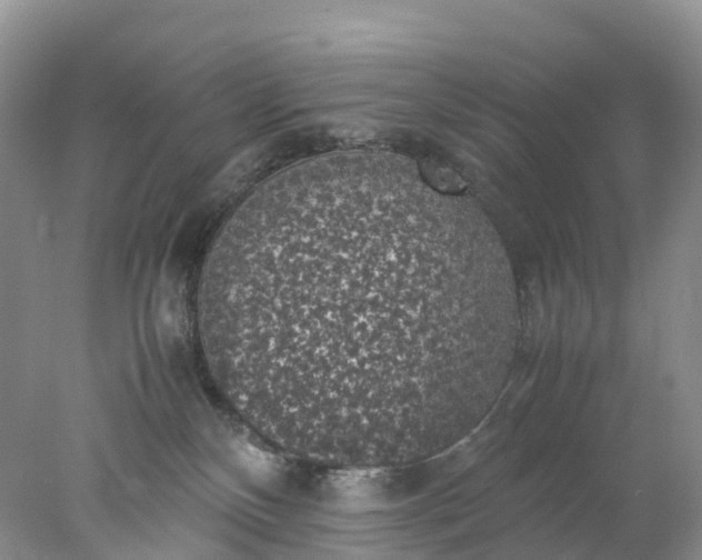 X0000078020136200611101856