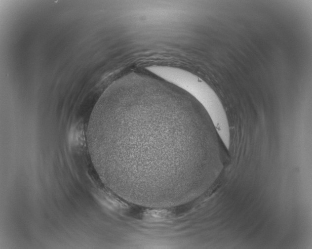 X0000078020137200611101856