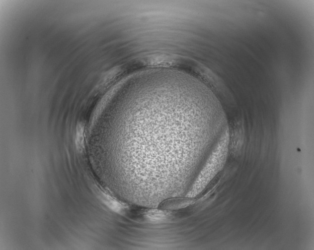 X0000078020142200611101856