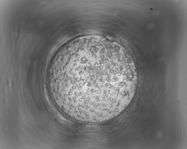 X0000078020145200611101855