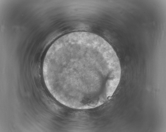 X0000078020146200611101856