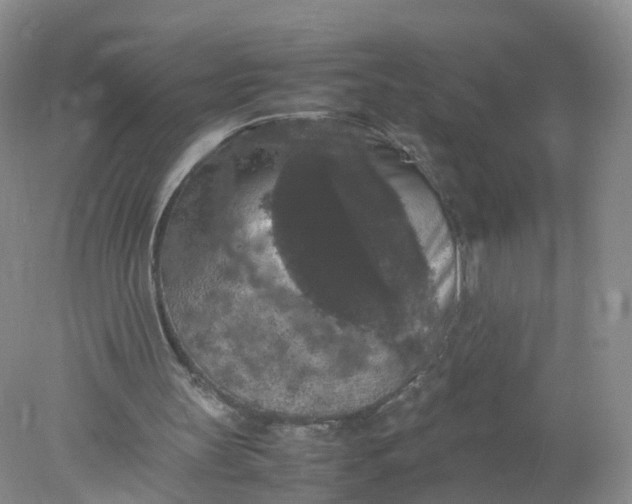 X0000078020147200611101856