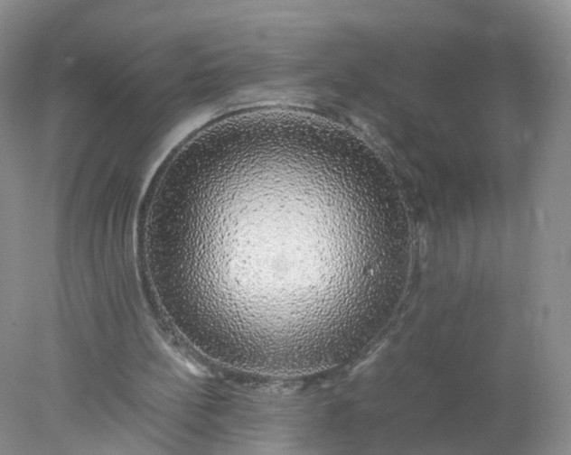 X0000078020148200611101856