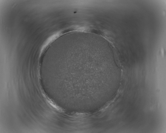 X0000078020149200611101856