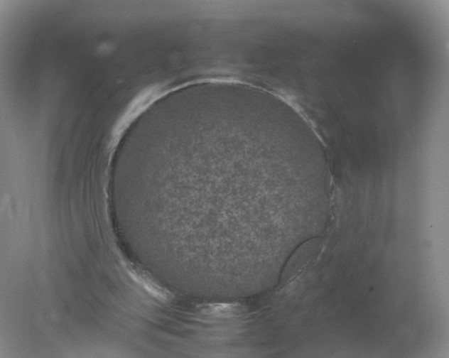 X0000078020151200611101856