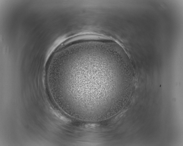 X0000078020152200611101856