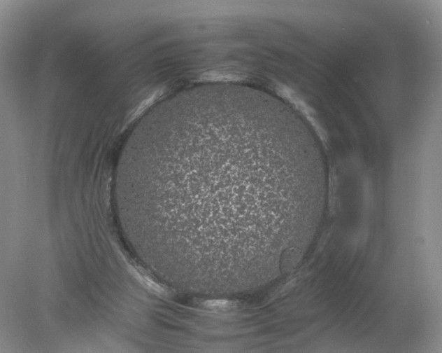 X0000078020153200611101856