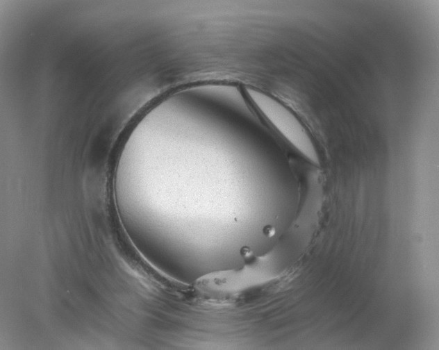 X0000078020156200611101856