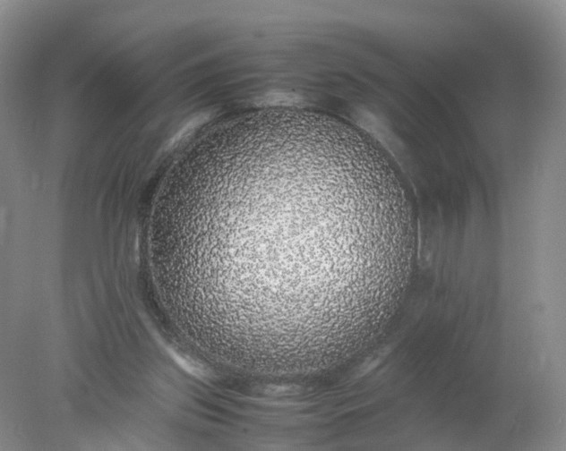 X0000078020157200611101856