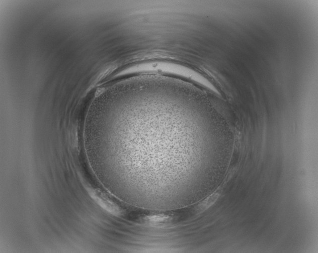 X0000078020158200611101856