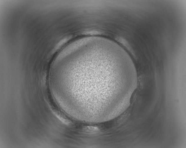 X0000078020159200611101856