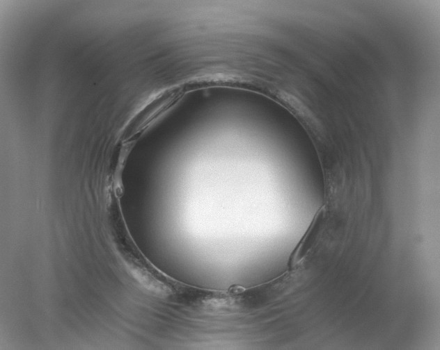 X0000078020160200611101856