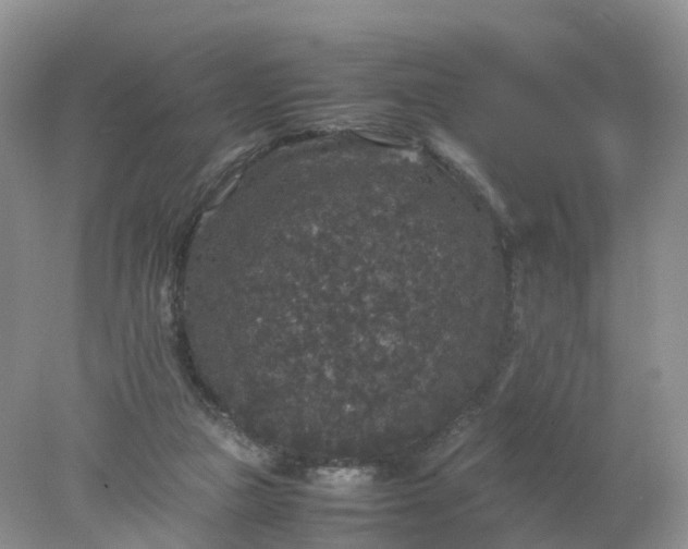 X0000078020161200611101856