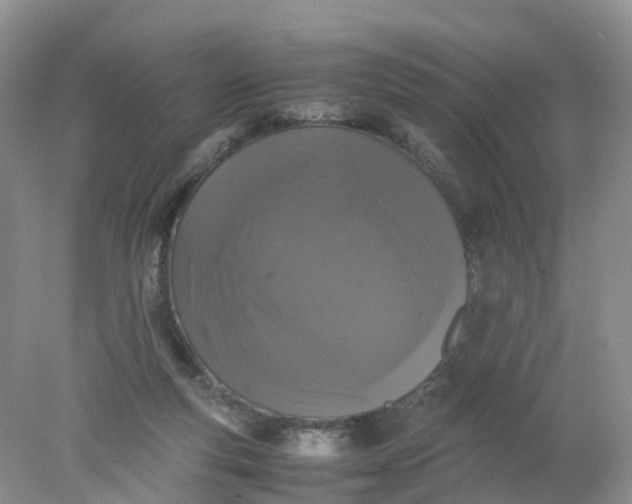 X0000078020163200611101856