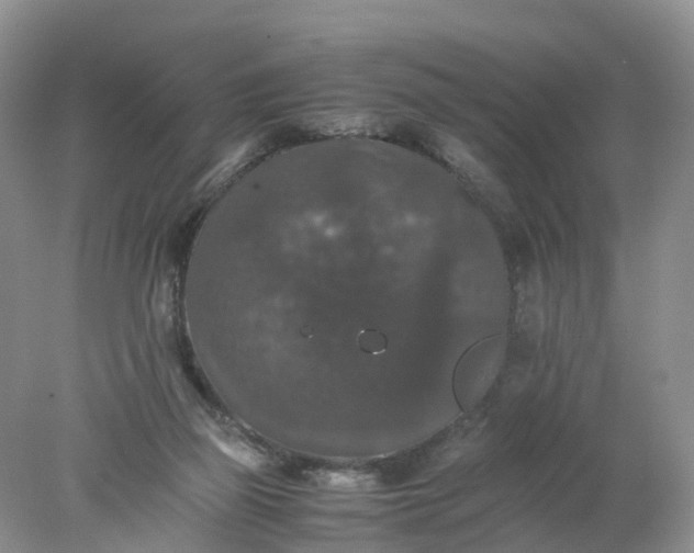 X0000078020165200611101856