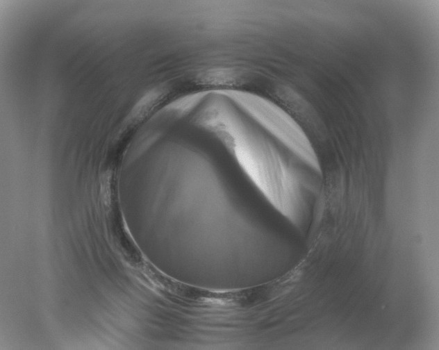 X0000078020167200611101856