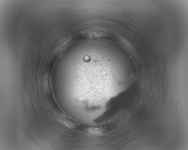 X0000078020169200611101856