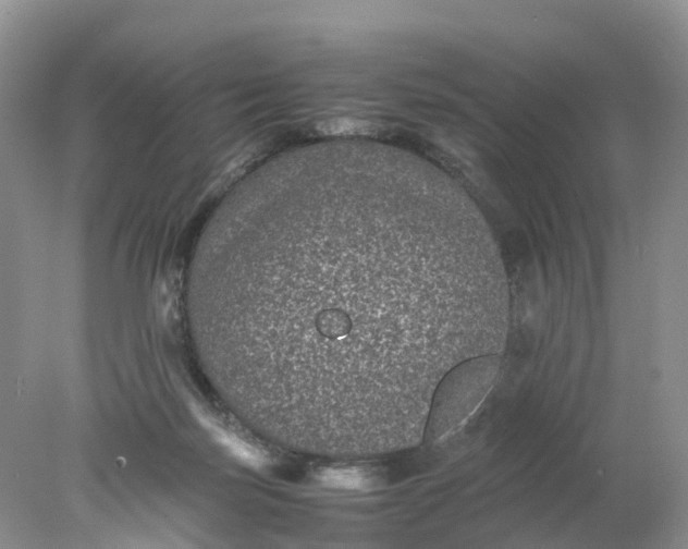 X0000078020171200611101856