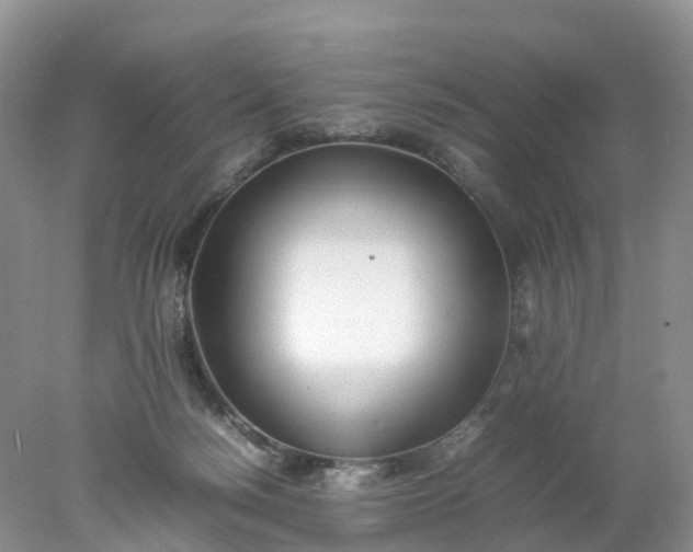 X0000078020172200611101856